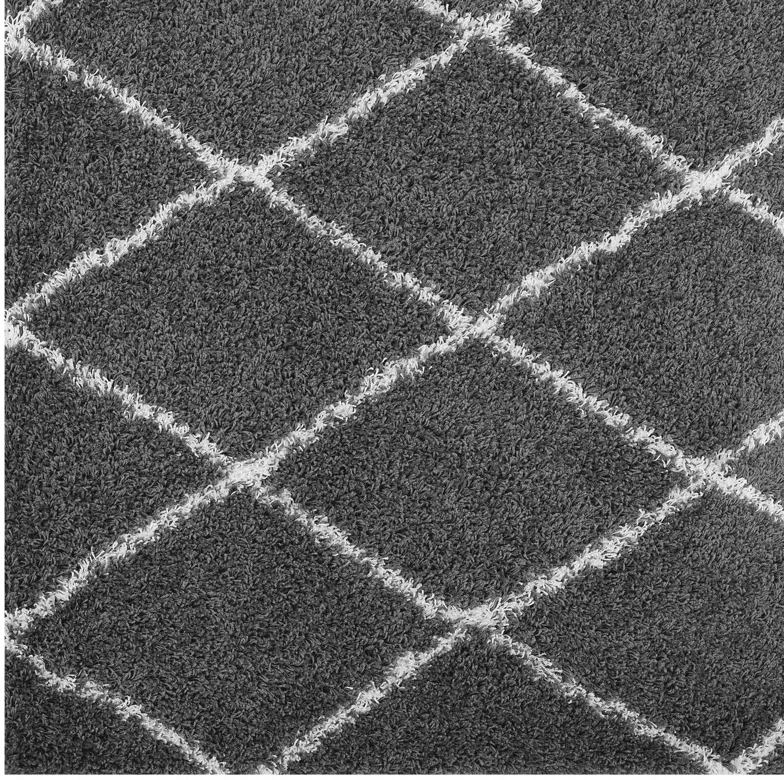 Toryn Diamond Lattice 5x8 Shag Area Rug