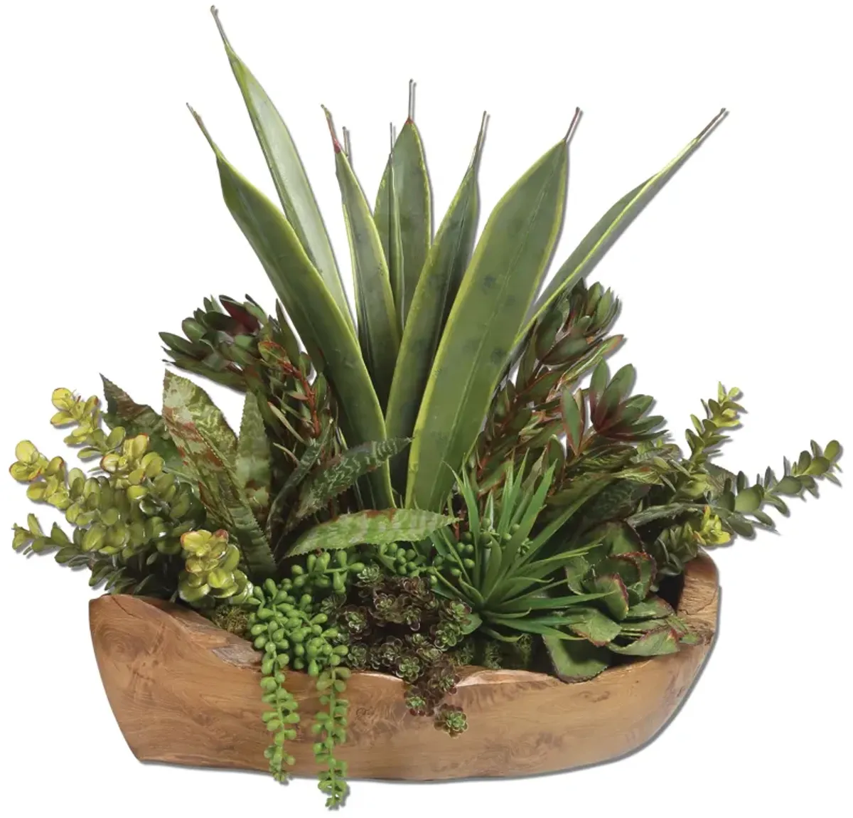 Salar Succulents In Teak Bowl