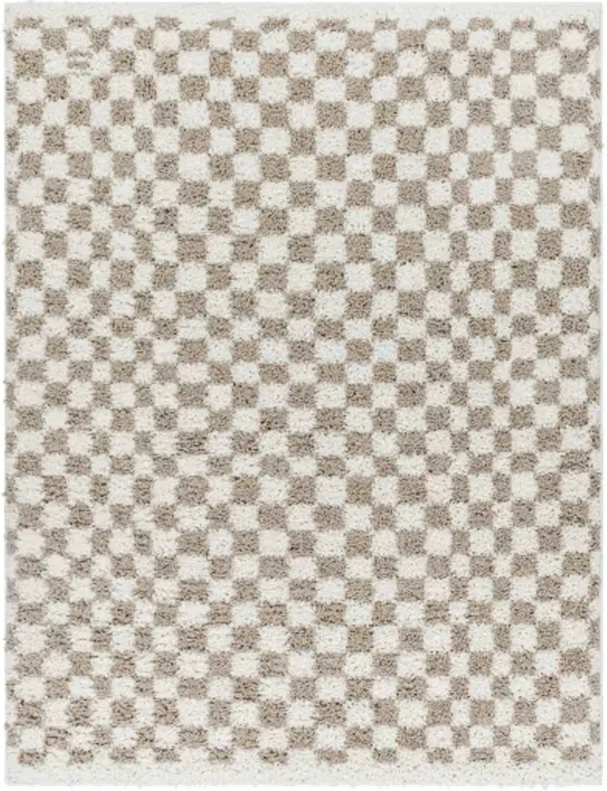 Birmingham BMM-2322 6'7" x 9' Machine Woven Rug