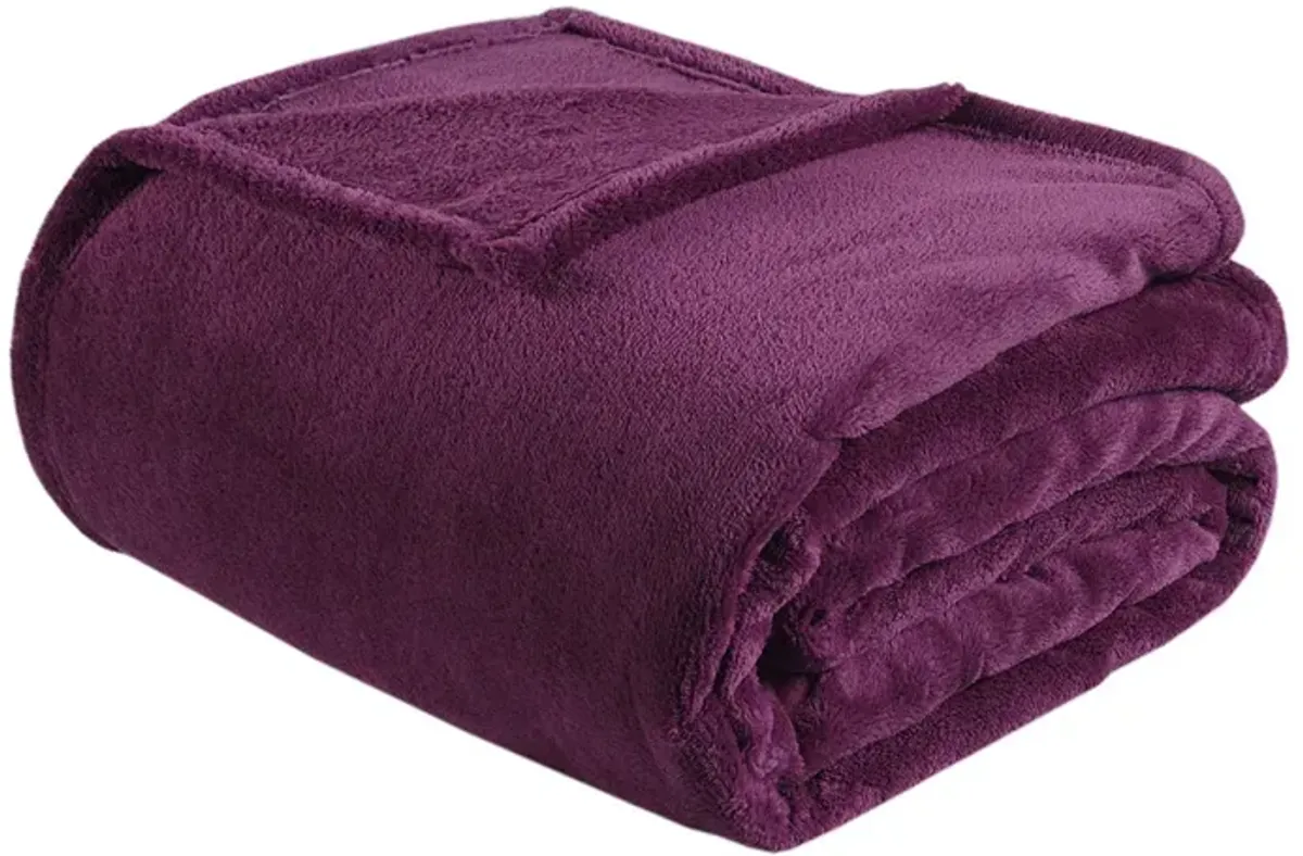 Intelligent Design Microlight Plush Purple Oversized Blanket