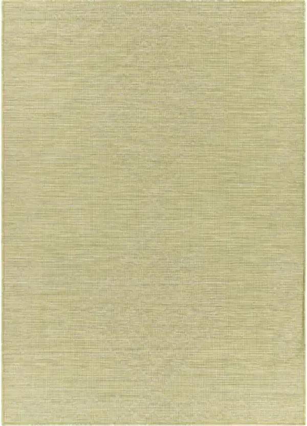 Pasadena 2'6" x 4' Rug