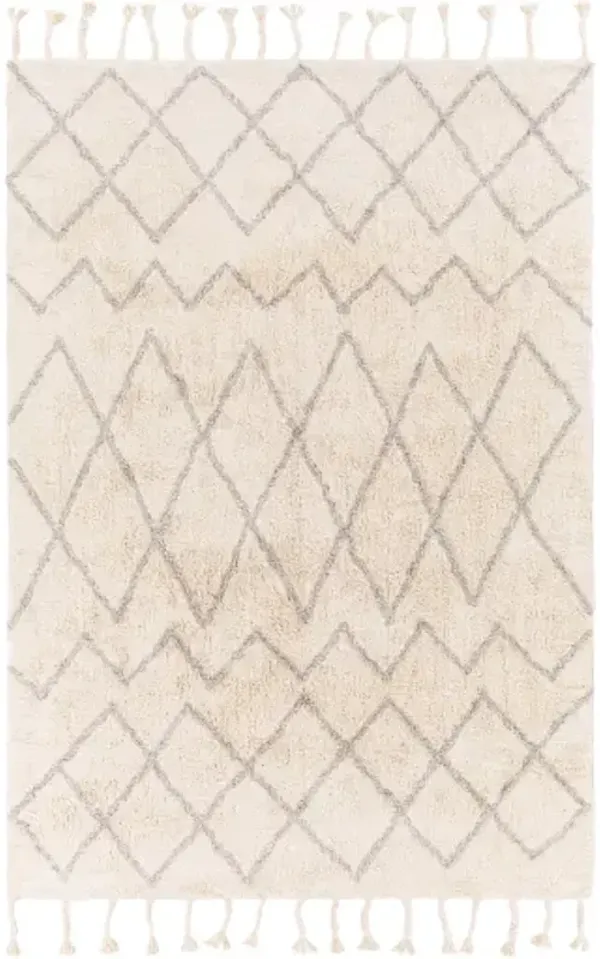 Khemisset 2'6" x 4' Rug