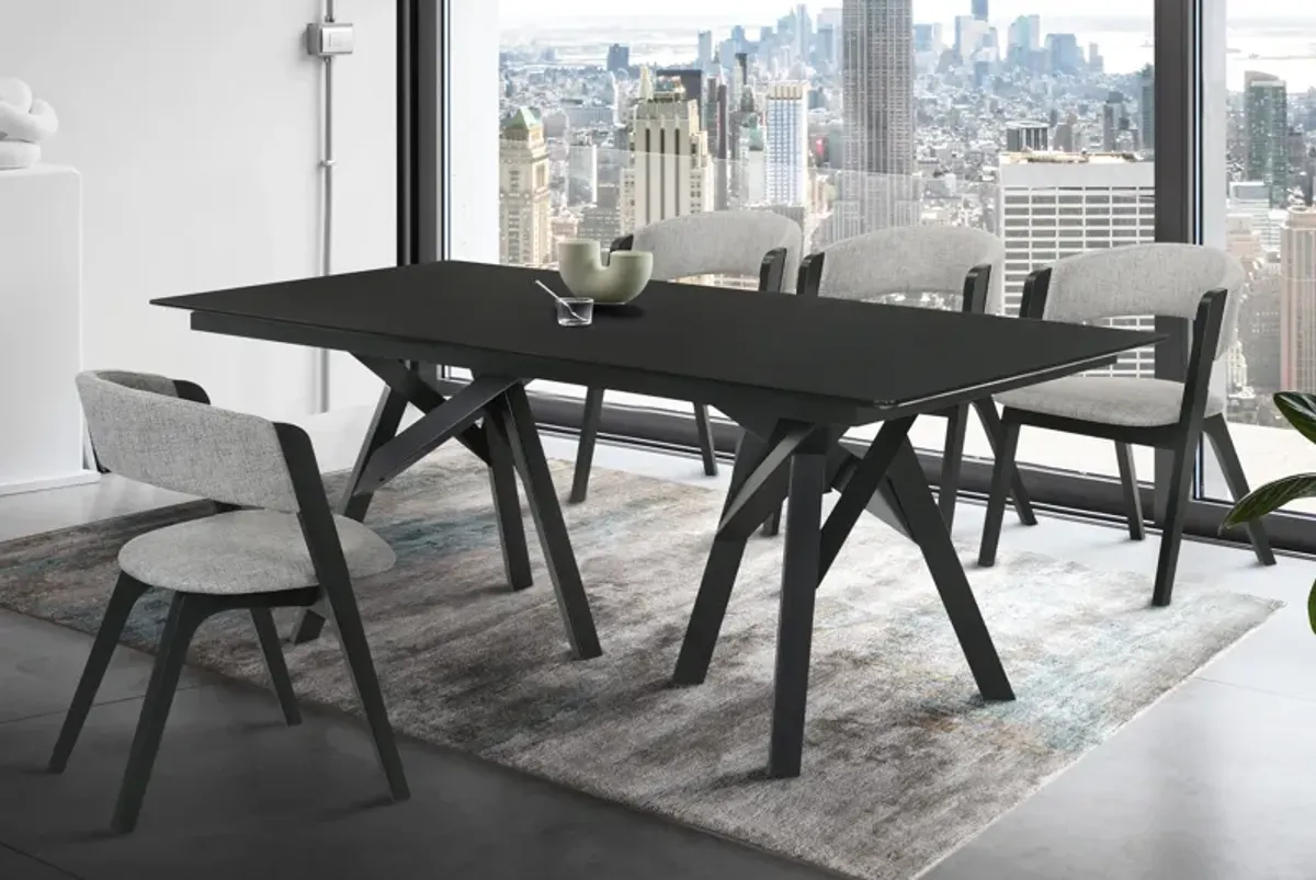 Cortina and Rowan 5 Piece Black Rectangular Dining Set