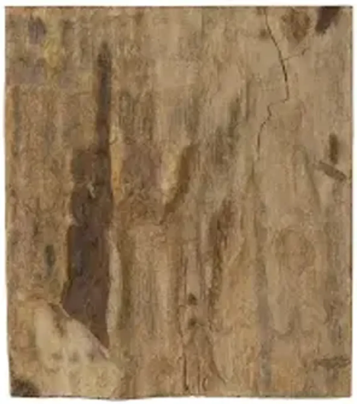 cast petrified wood wall tile, resin, square