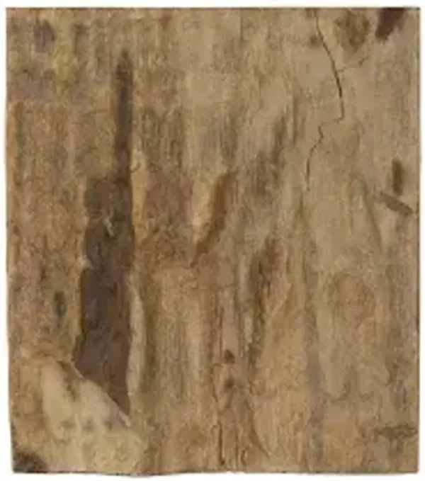 cast petrified wood wall tile, resin, square