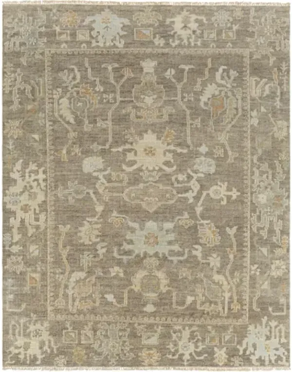 Antalya AAT-2303 2' x 3' Handmade Rug