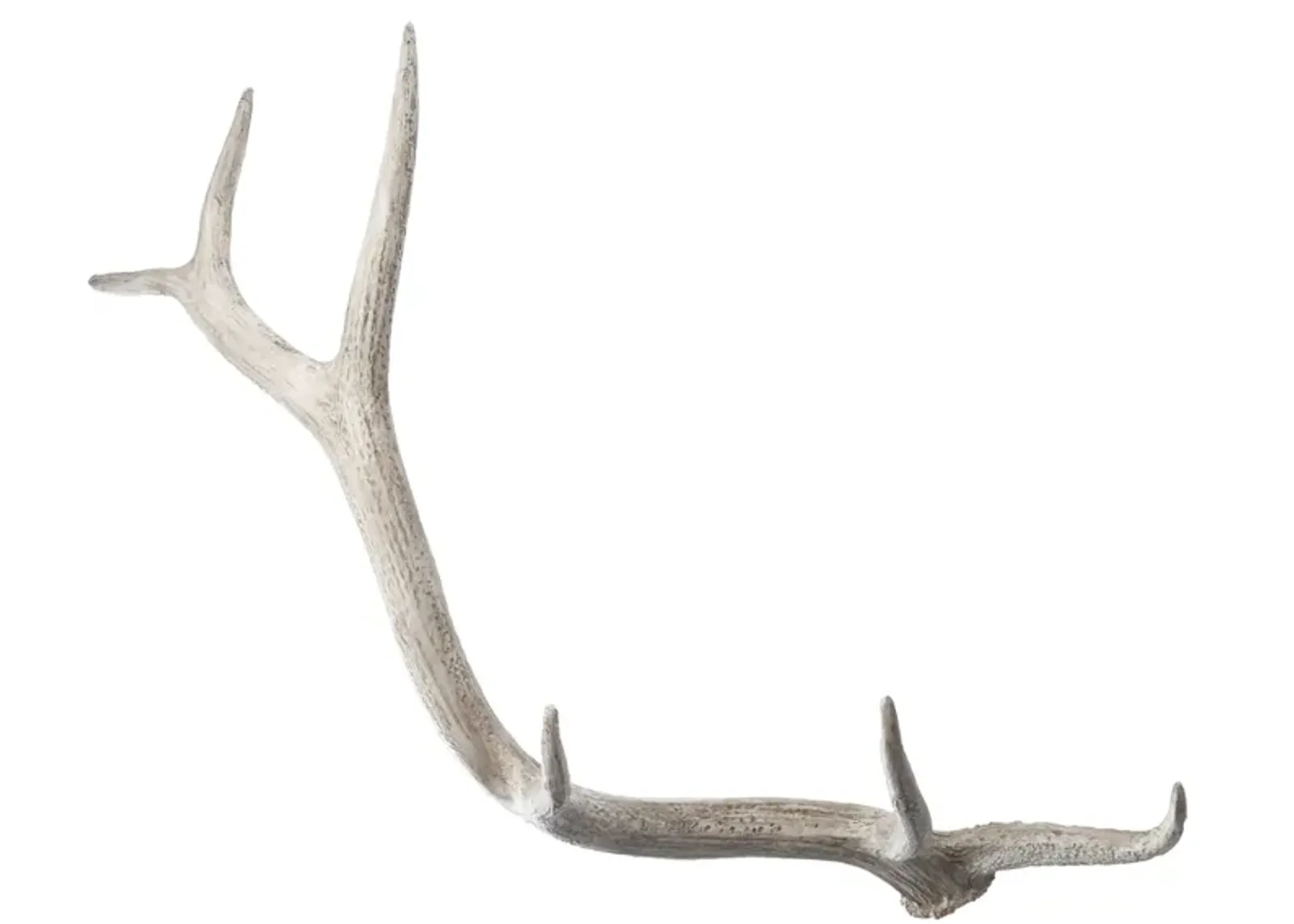 Weathered Elk Antler