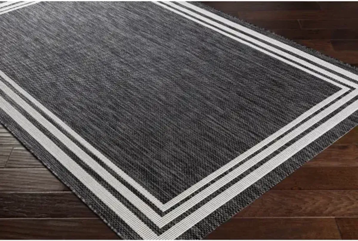 Eagean 8'10" x 12' Rug