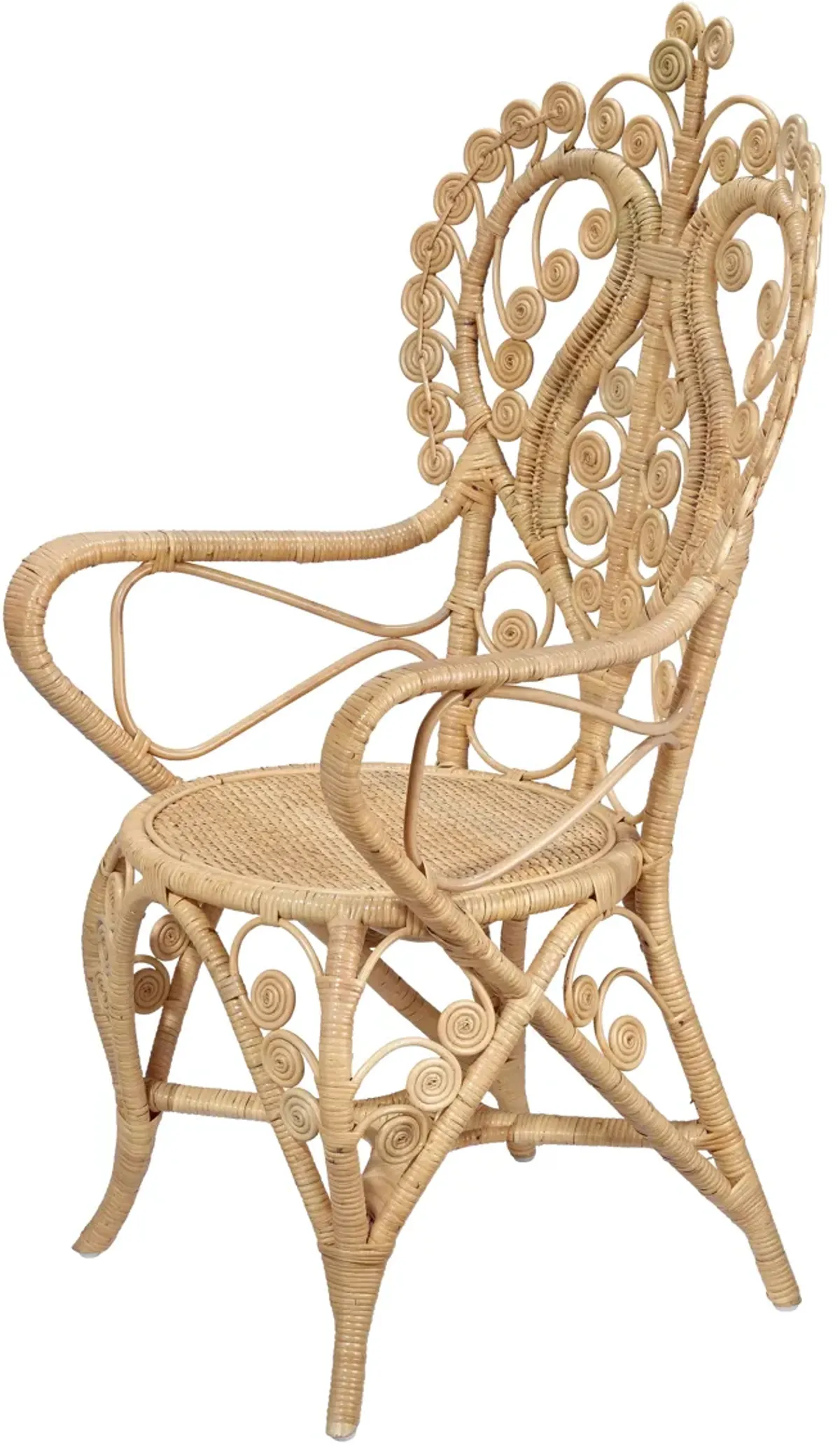 Hibiscus Rattan Arm Chair