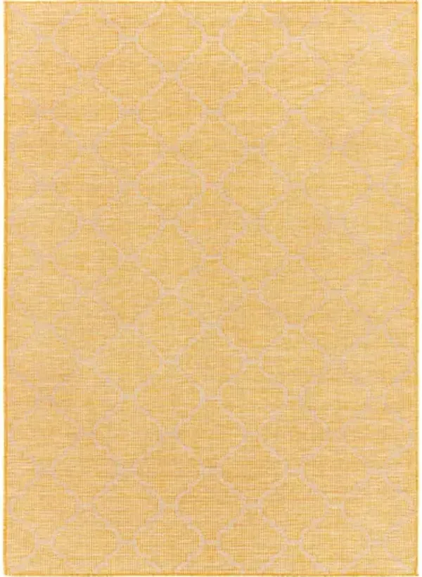 Pasadena 2'6" x 4' Rug