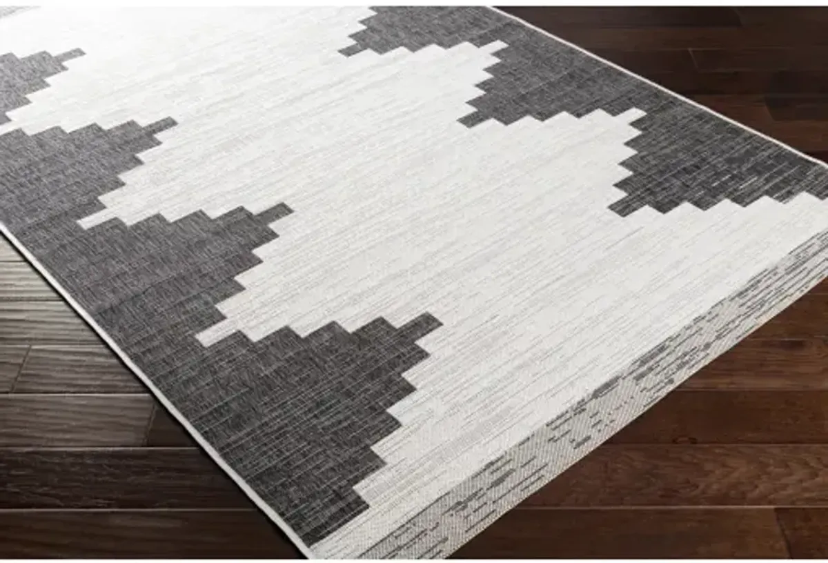 Eagean Rug