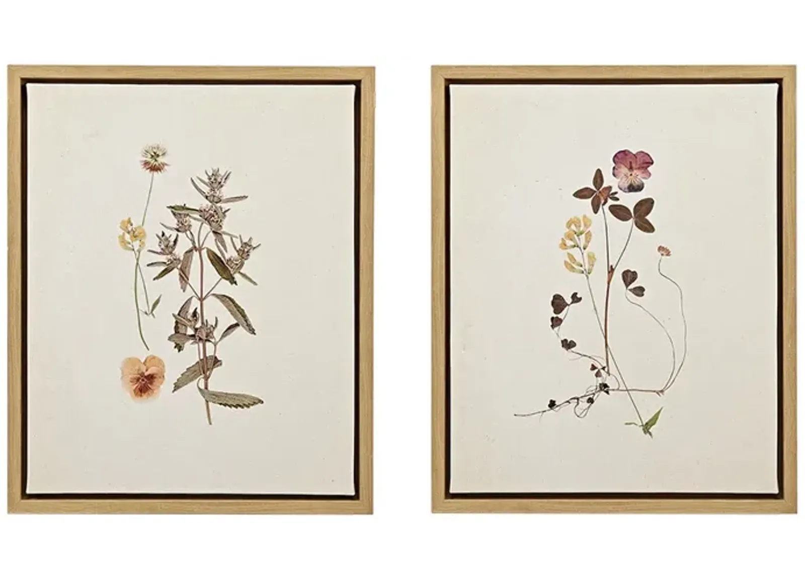 Martha Stewart French Herbarium Multi 2-piece Framed Canvas Wall Art Set