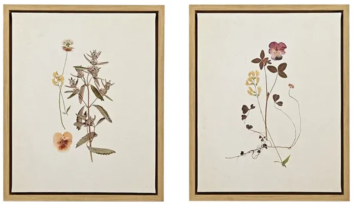 Martha Stewart French Herbarium Multi 2-piece Framed Canvas Wall Art Set