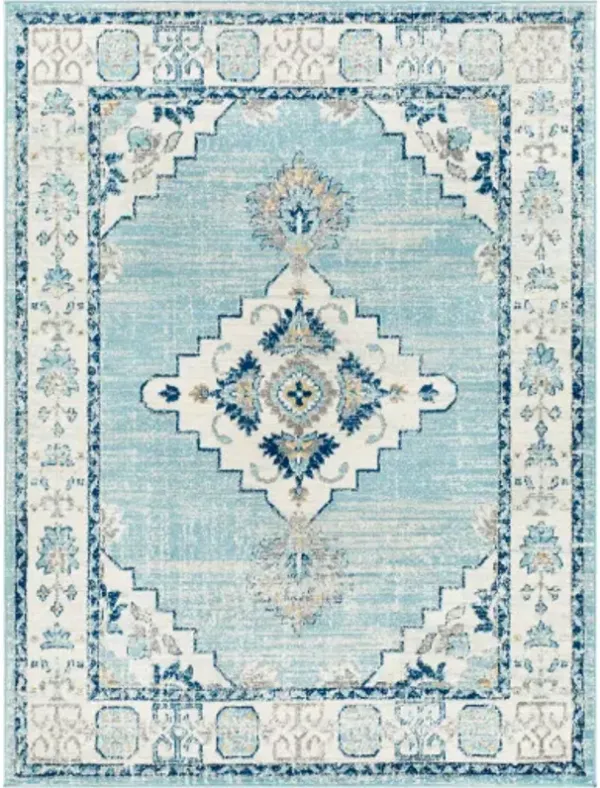 Tevazu 6'7" x 9' Rug