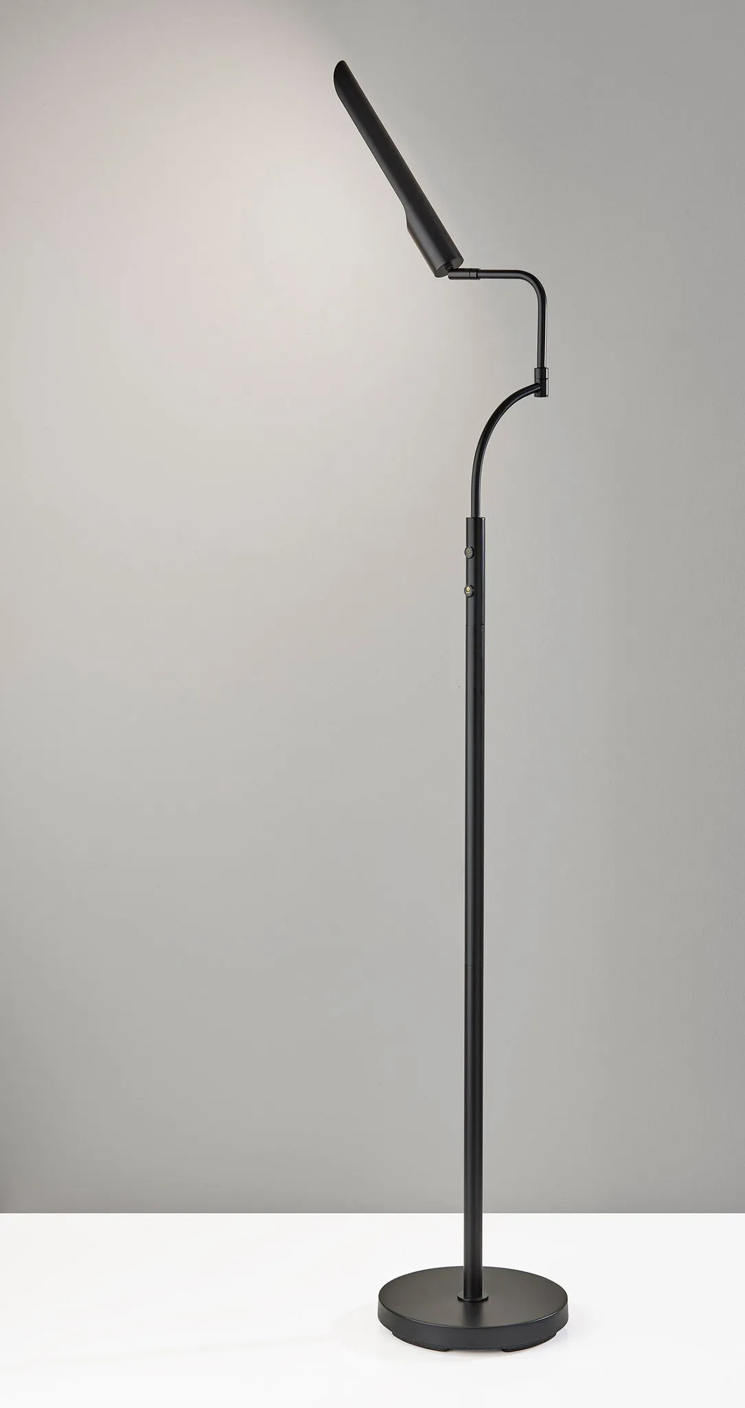 Zane LED Floor Lamp w. Smart Switch- Black