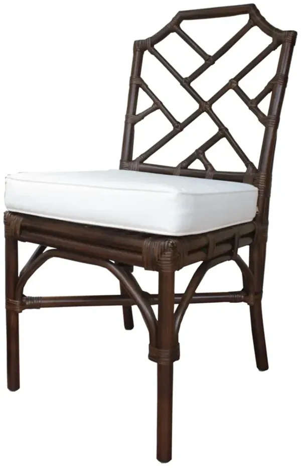 Kara Rattan Dining Side Chair, Paloma Brown (set Of 2)
