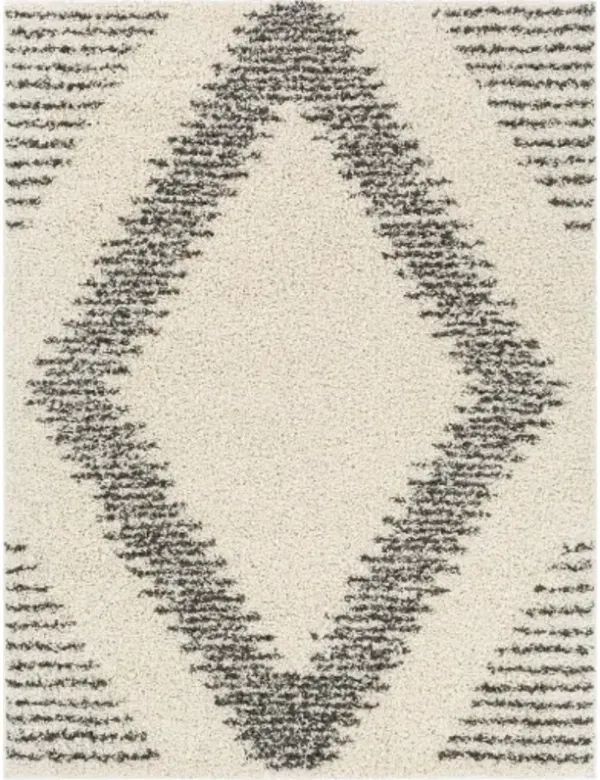 Taza shag 5'2" x 7' Rug
