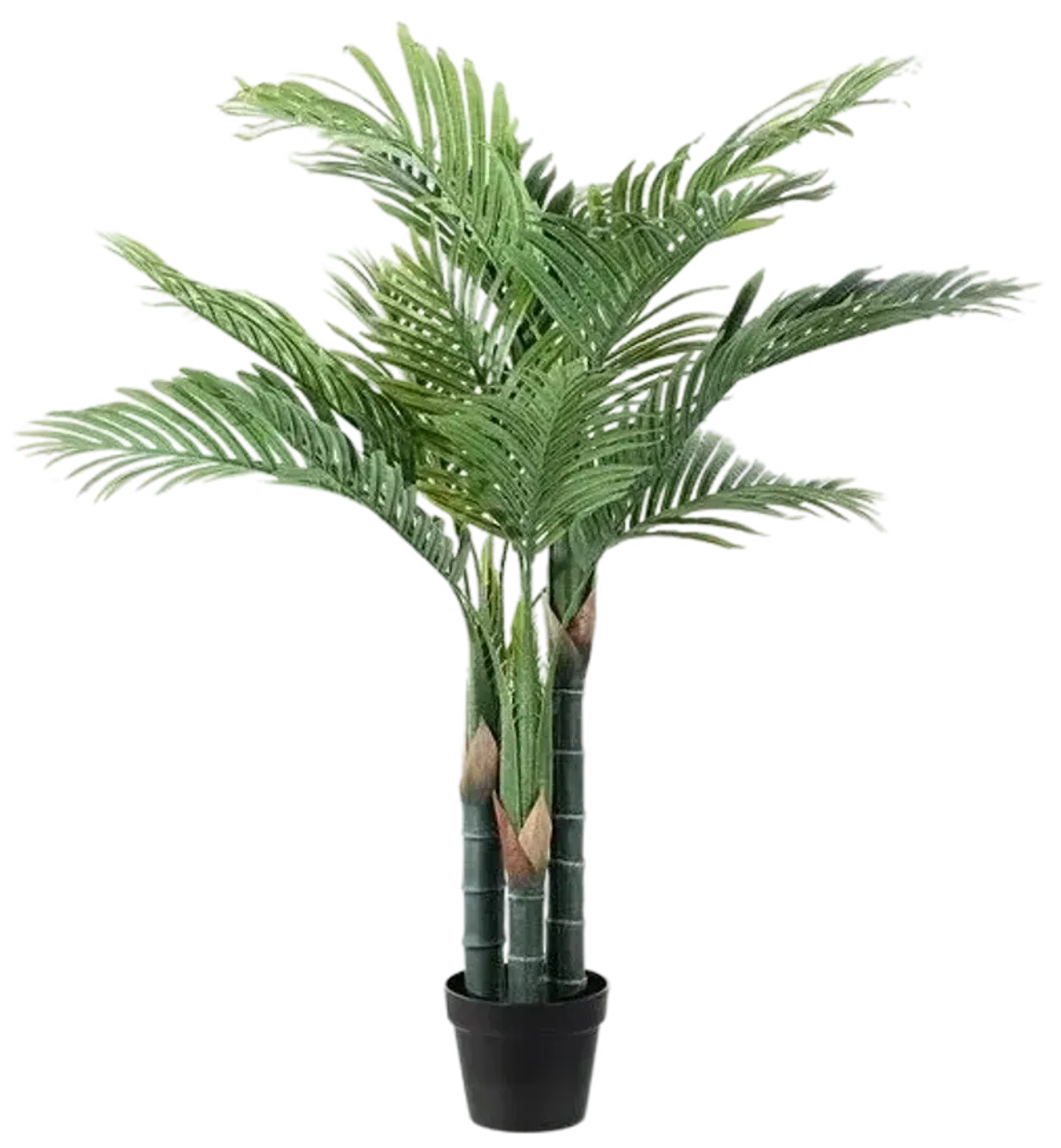 FAUX GOLDEN CAN PALM 49" POTTED TREE