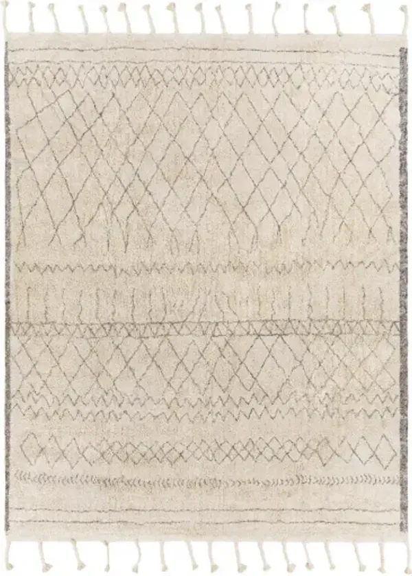 Khemisset 2'6" x 4' Rug