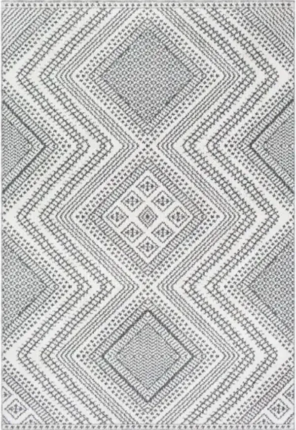 Ariana 2'3" x 3'9" Rug