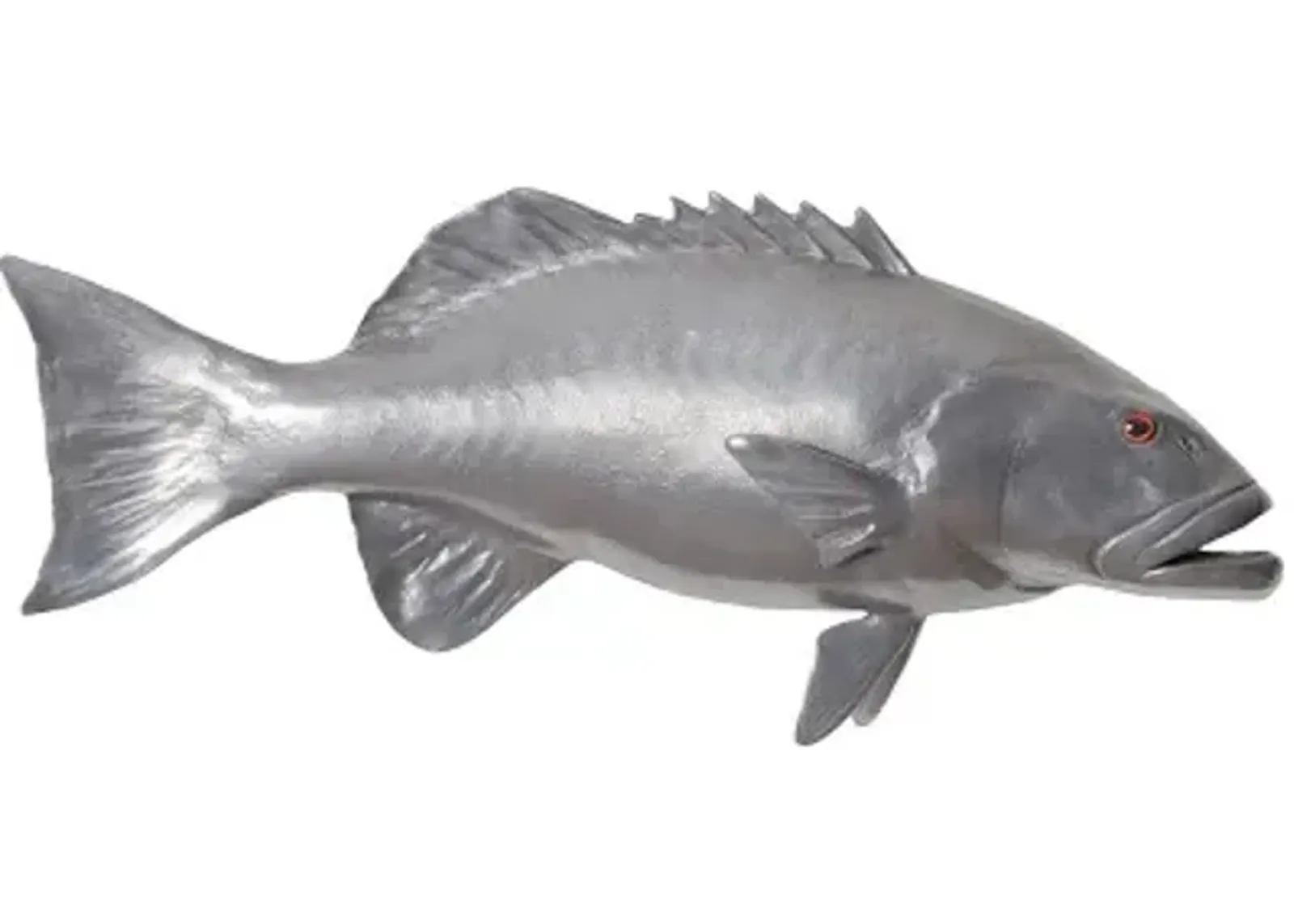 coral trout fish wall sculpture, resin, polished aluminum finish