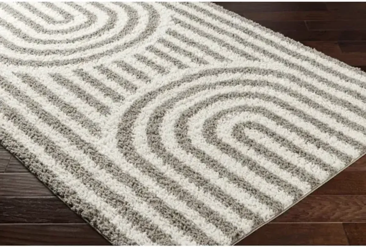 Birmingham BMM-2305 5'3" x 7' Machine Woven Rug