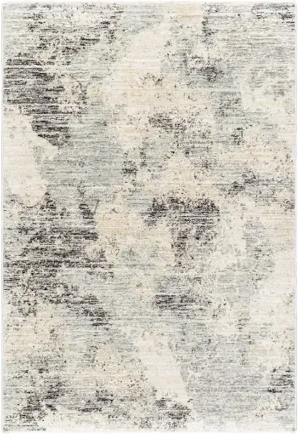 Rojin ROJ-2302 5'3" x 7'10" Machine Woven Rug
