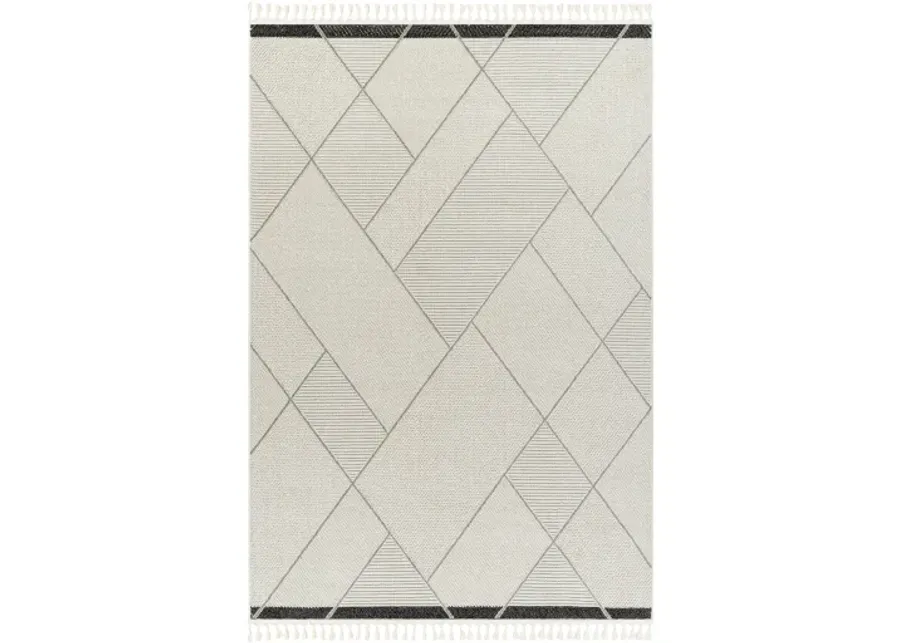 Finland FND-2303 2'2" x 3'9" Machine Woven Rug