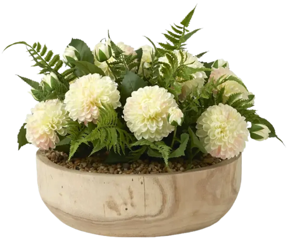 Cream Dahlias with Leather Fern in Wooden Bowl