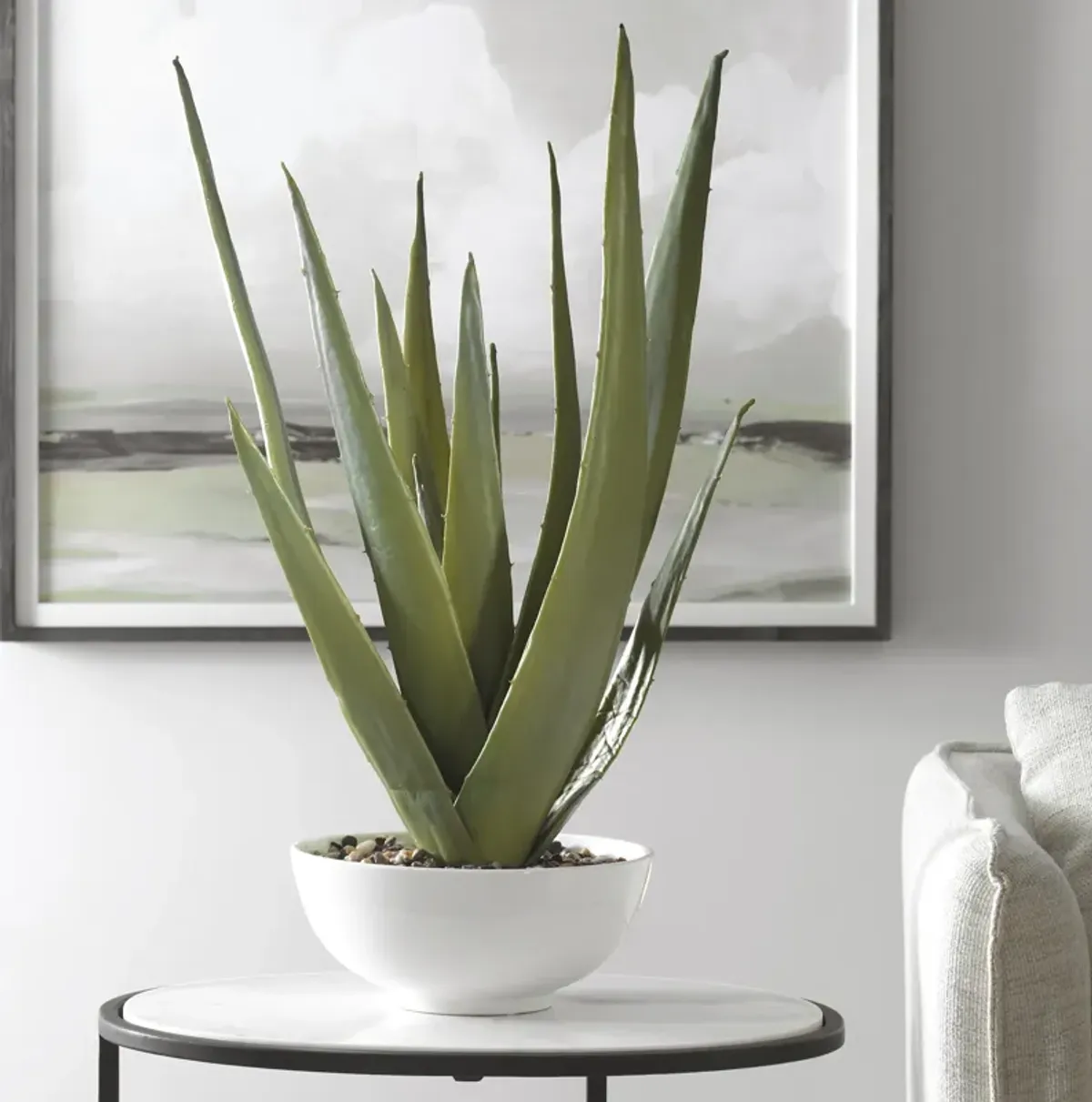 Evarado Aloe Planter