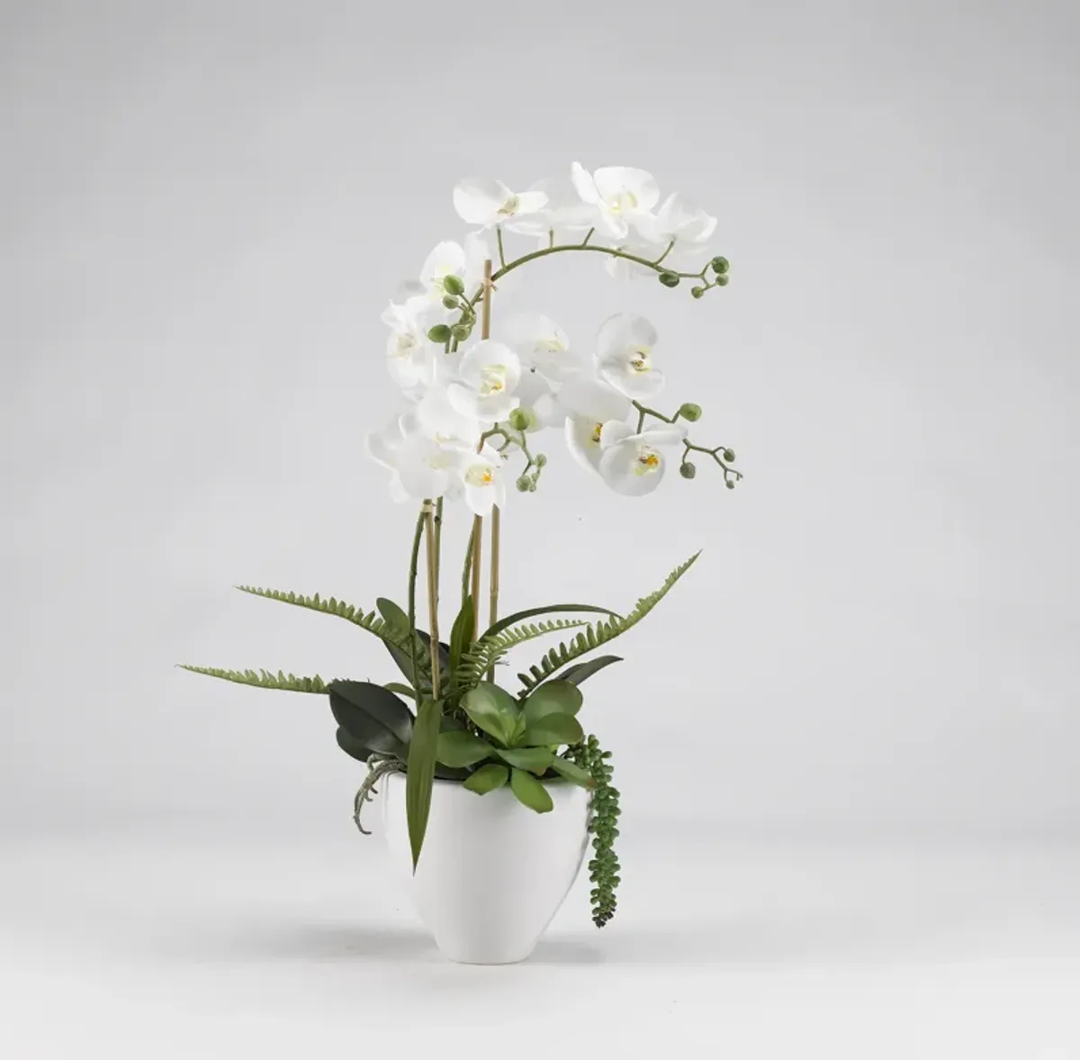 White Orchids in Bowl