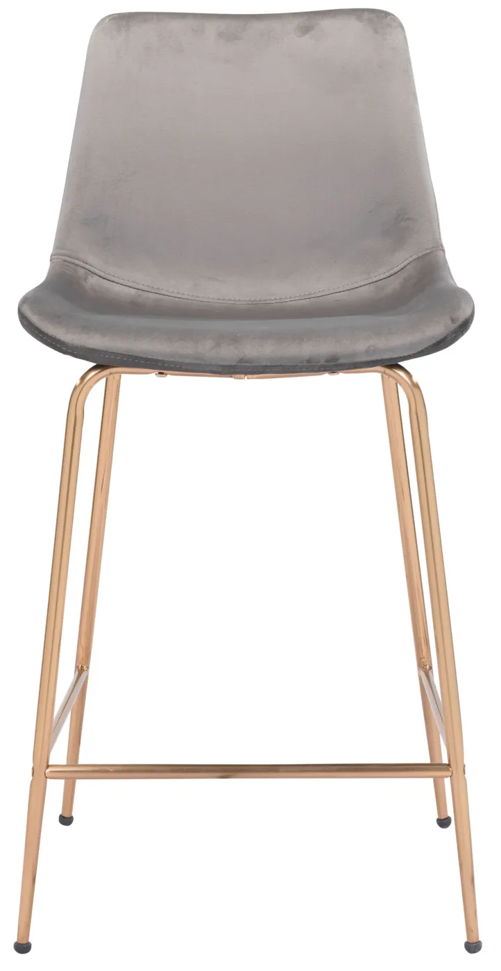 Tony Counter Stool Gray & Gold