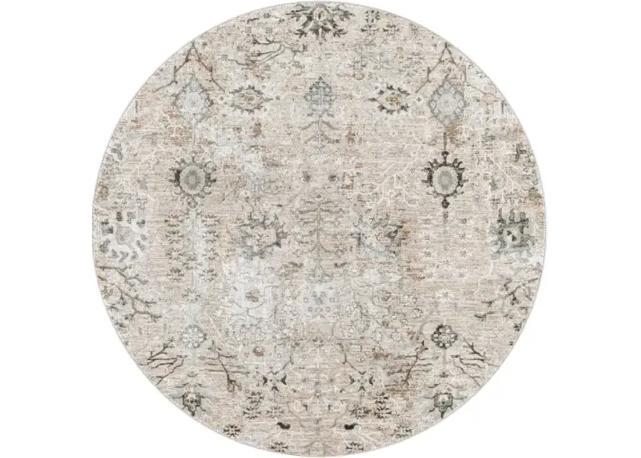 Brunswick 2'7" x 4' Rug