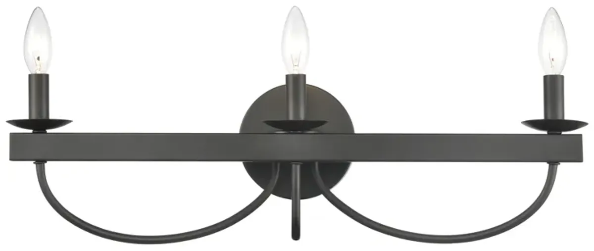 Williamson 24" Wide 3-Light Vanity Light - Black