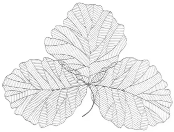 tri leaf wall art, medium, metal, silver/black