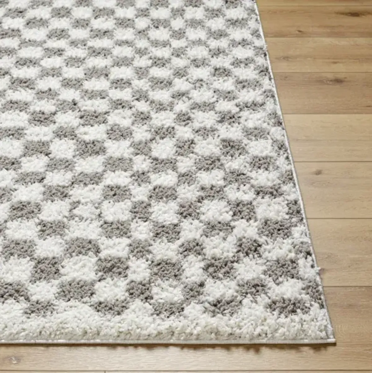 Birmingham BMM-2321 5'3" x 7' Machine Woven Rug