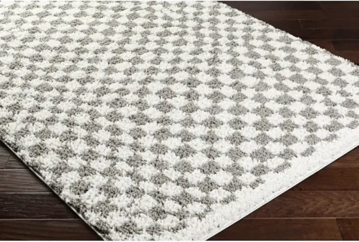 Birmingham BMM-2321 5'3" x 7' Machine Woven Rug