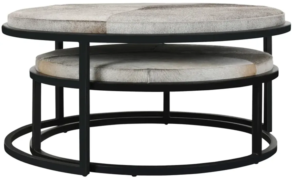 Hayword Hide Set of 2 Nesting Coffee Tables in Sparrow Gray