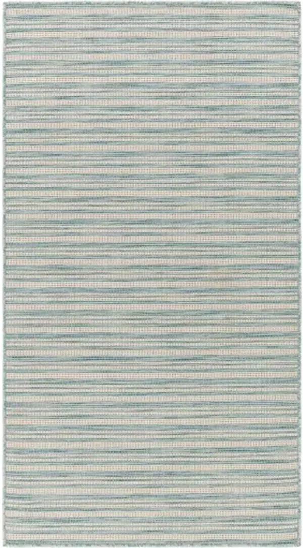 Hampton 5'1" x 7' Rug