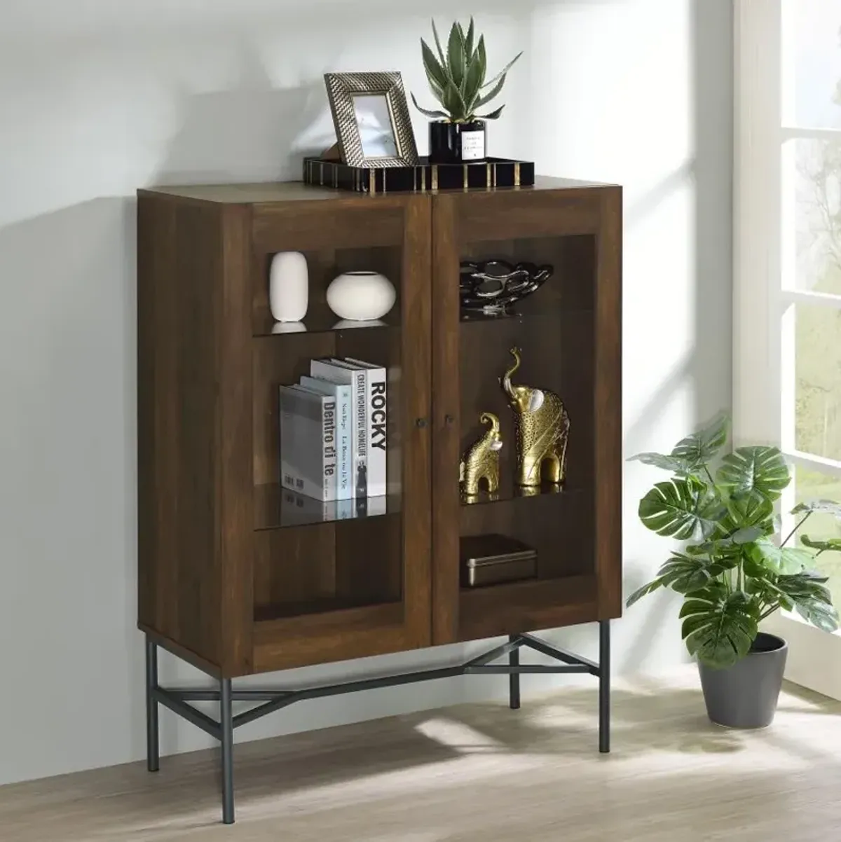 Bonilla 2-door Accent Cabinet with Glass Shelves