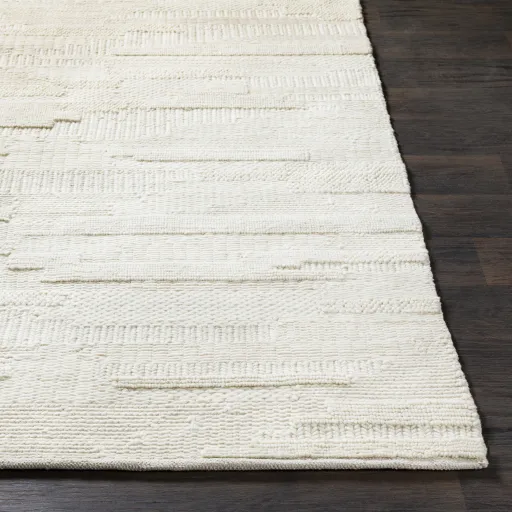 Cocoon 2' x 3' Rug