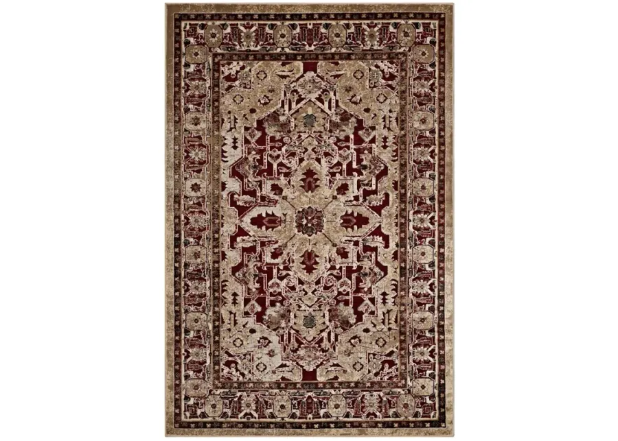 Grania Ornate Vintage Floral Turkish 8x10 Area Rug