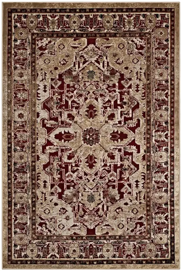 Grania Ornate Vintage Floral Turkish 8x10 Area Rug