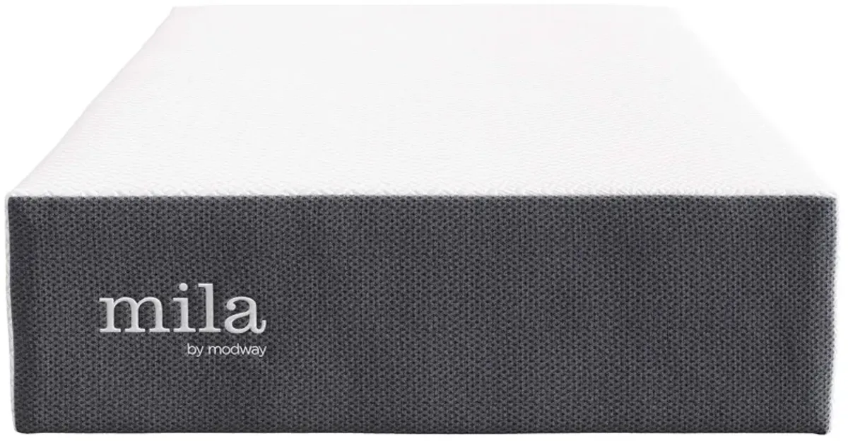 Mila 12" Twin Mattress