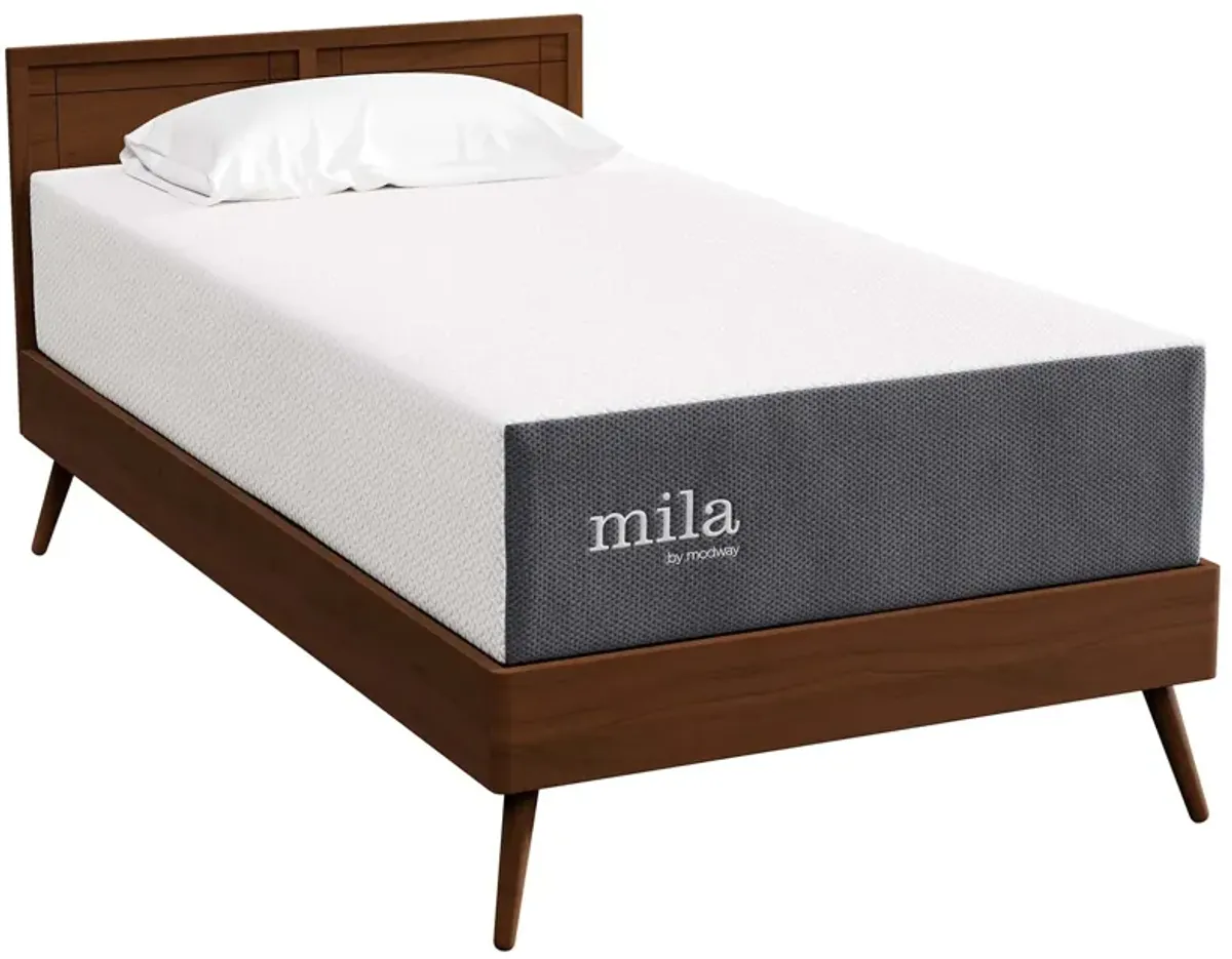 Mila 12" Twin Mattress