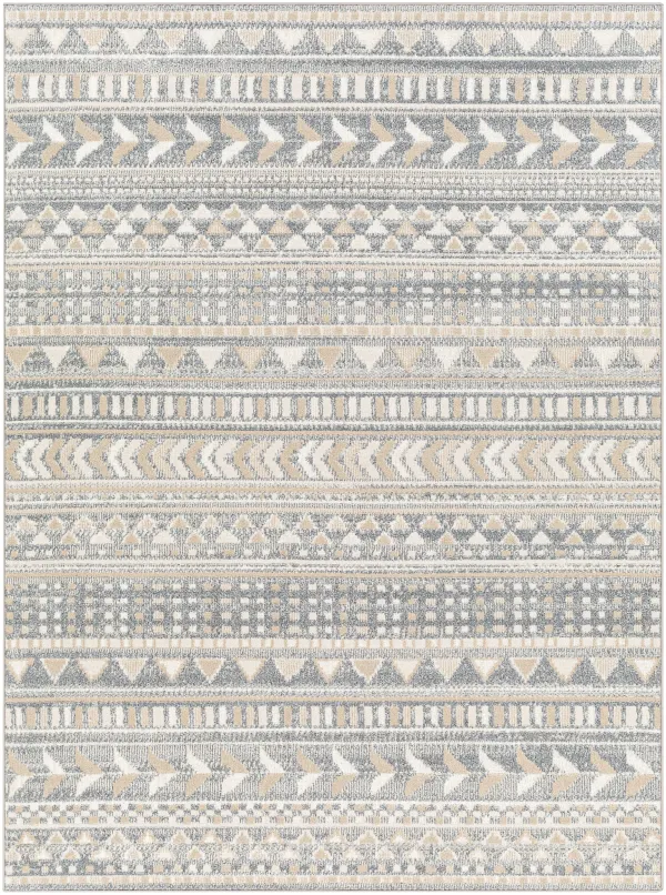 Santana SNN-2304 7'10" x 10' Machine Woven Rug