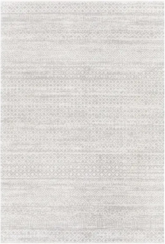 Lavadora LVR-2319 2'7" x 7'3" Rug