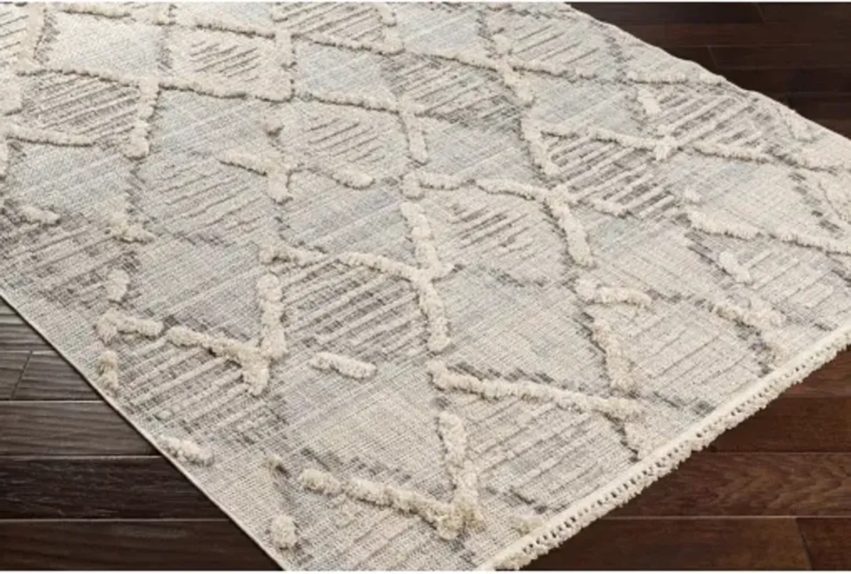 Zaragoza ZRZ-2311 2'7" x 7'3" Rug