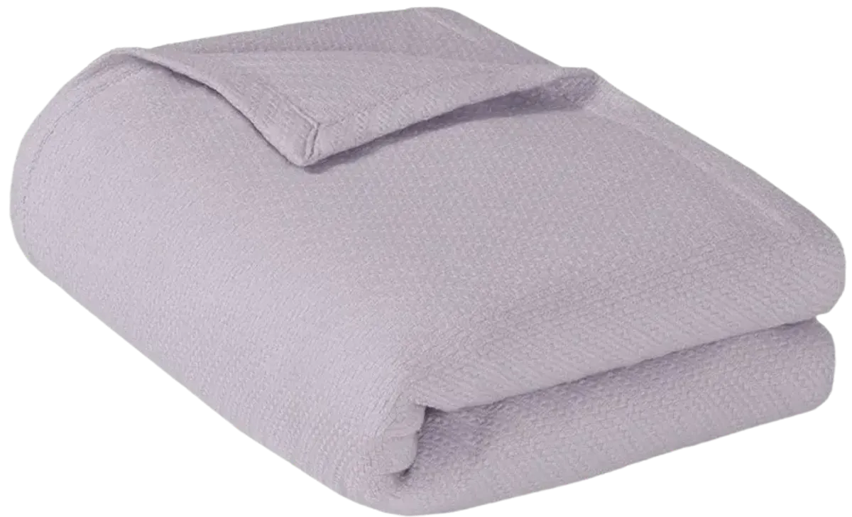 Madison Park Liquid Cotton Lilac Liquid Cotton Blanket