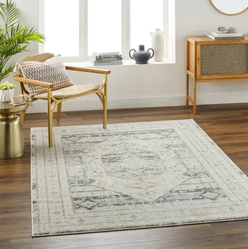 Bitlis BSI-2300 6'7" x 9' Machine Woven Rug